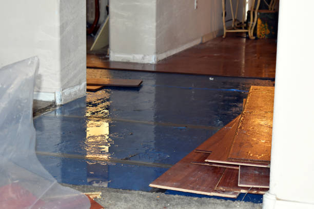Professional Basement Flood Cleanup technician working in Newton, TX